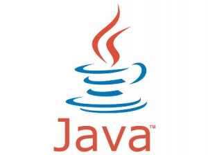 Detectado error grave en Java